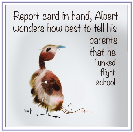 bird-Albert-harrop