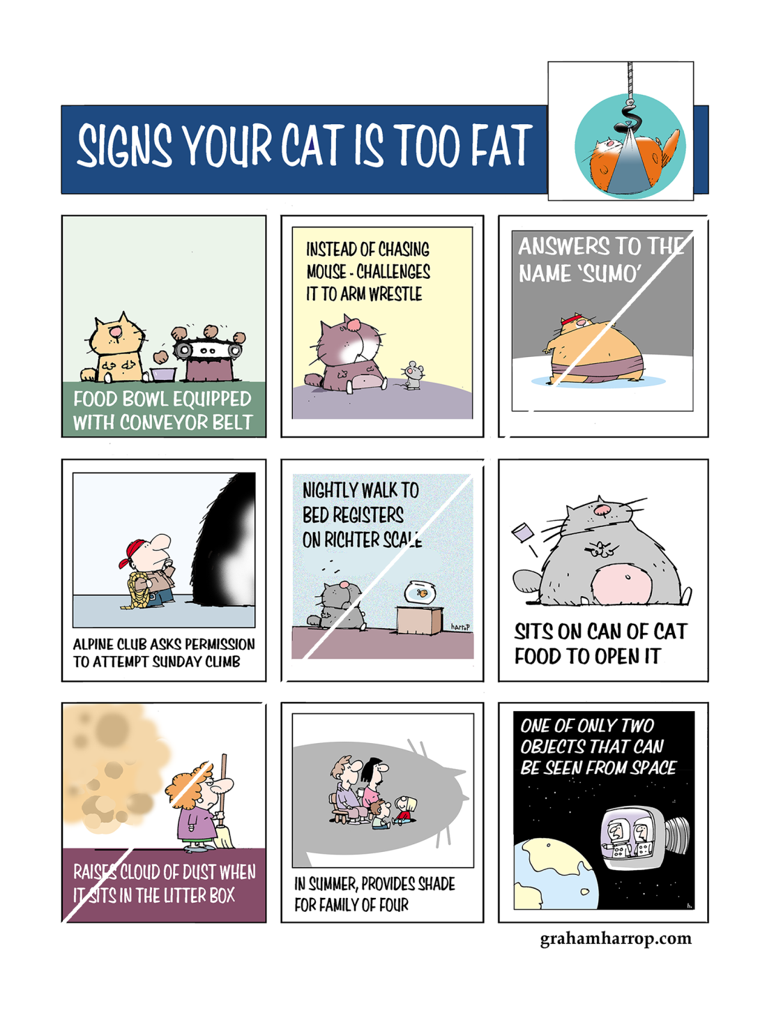 SignsYourCatIsTooFatPoster copy.png